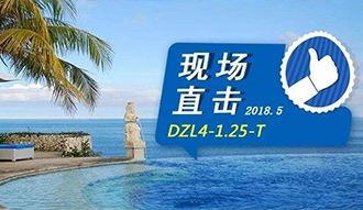 現(xiàn)場(chǎng)直擊丨看生物質(zhì)鍋爐在巴厘島如何強(qiáng)操作，回頭客非它不選