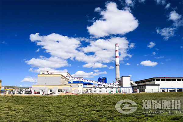 那曲地區(qū)3*46MW(65噸)DHL(QXL)角管強(qiáng)制循環(huán)鏈條鍋爐項目