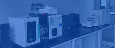 關(guān)注質(zhì)量