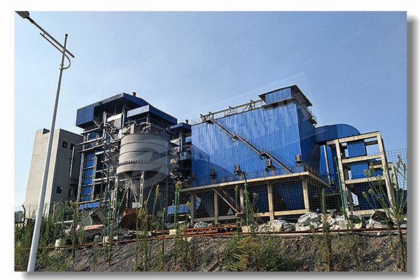 晉州專業(yè)生物質(zhì)蒸汽鍋爐供應(yīng)商找哪家？