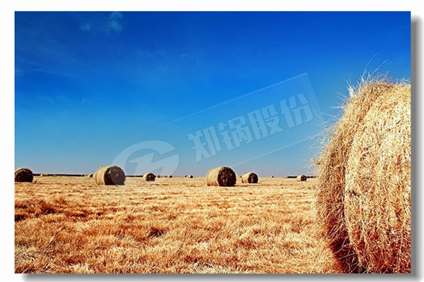 循環(huán)流化床鍋爐壓火后的揚(yáng)火原則是什么?