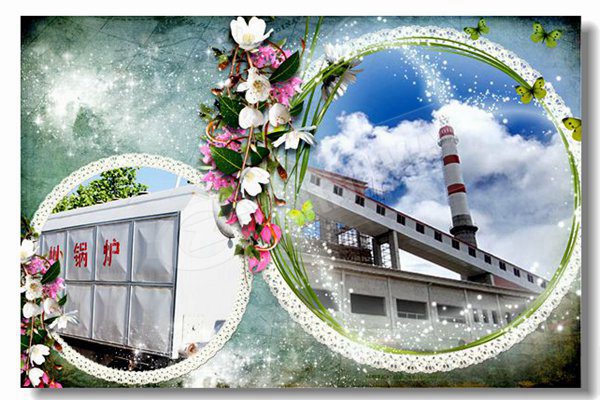 燃?xì)庹羝仩t飼料廠