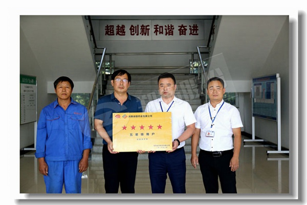 大嶺山冷凝式鍋爐價格精準報價是多少？