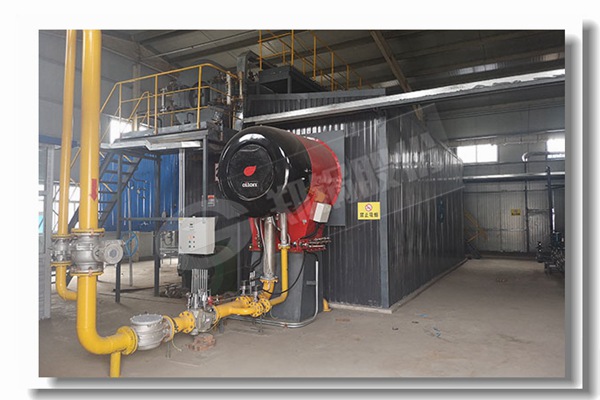 工業(yè)鍋爐燃燒用的煤中的硫（S）由幾部分組成？有何危害？