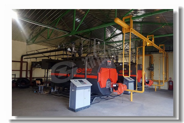 端州生物質(zhì)鍋爐常見爐型有哪些？