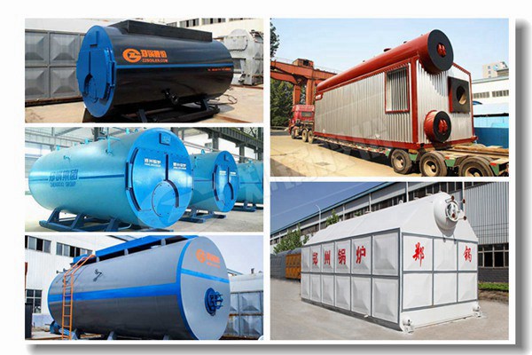 生物質(zhì)立式兩用蒸汽鍋爐有哪些型號(hào)？