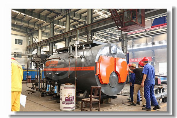 4噸燃生物質(zhì)顆粒鍋爐有哪些性能參數(shù)？