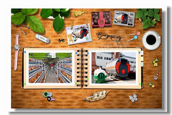 循環(huán)流化床鍋爐床溫該如何進(jìn)行調(diào)整？