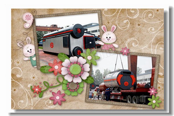 工業(yè)燃?xì)忮仩t生產(chǎn)商哪家好？