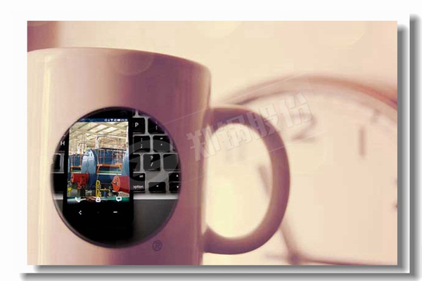 循環(huán)流化床鍋爐內(nèi)的燃燒區(qū)域有哪些？