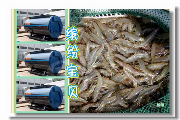 恩施燃?xì)庹羝仩t多少錢？